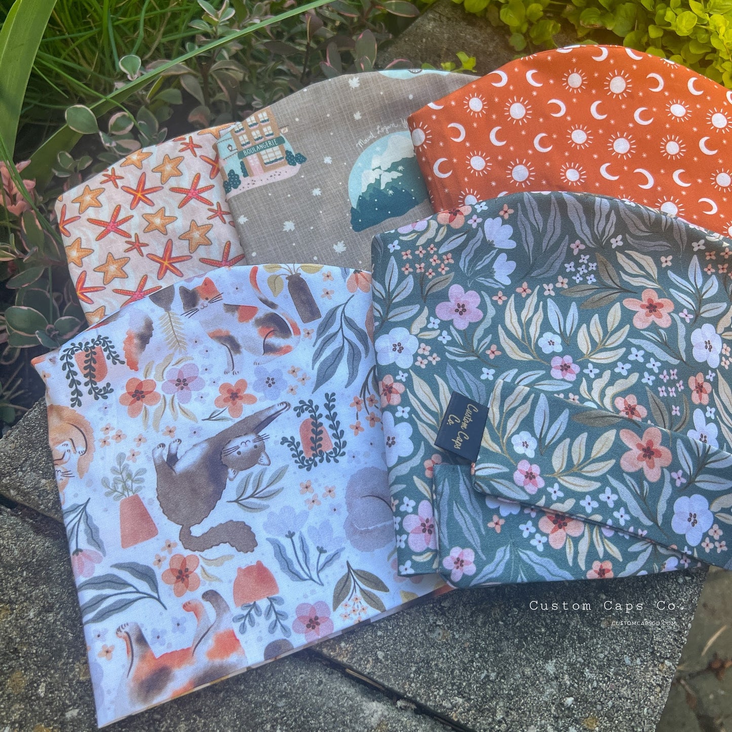Discover Canada on Taupe | Pixie