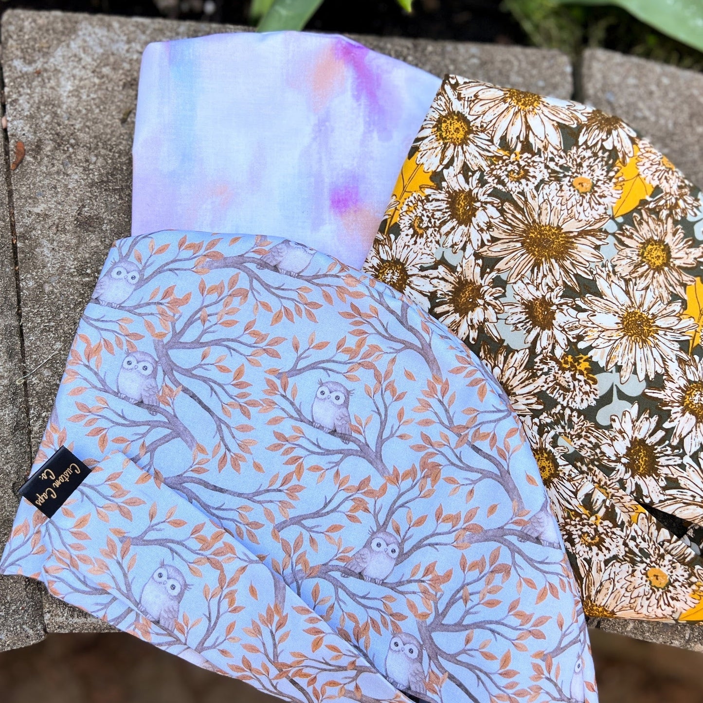 Garden Daisies | Pixie