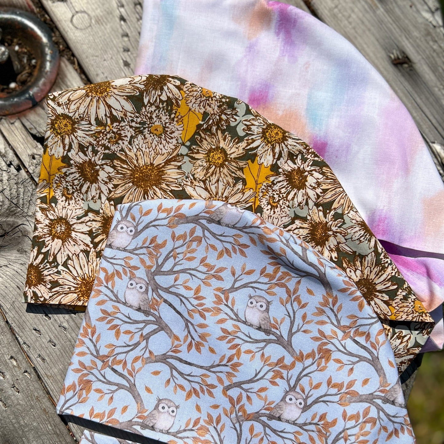 Garden Daisies | Pixie