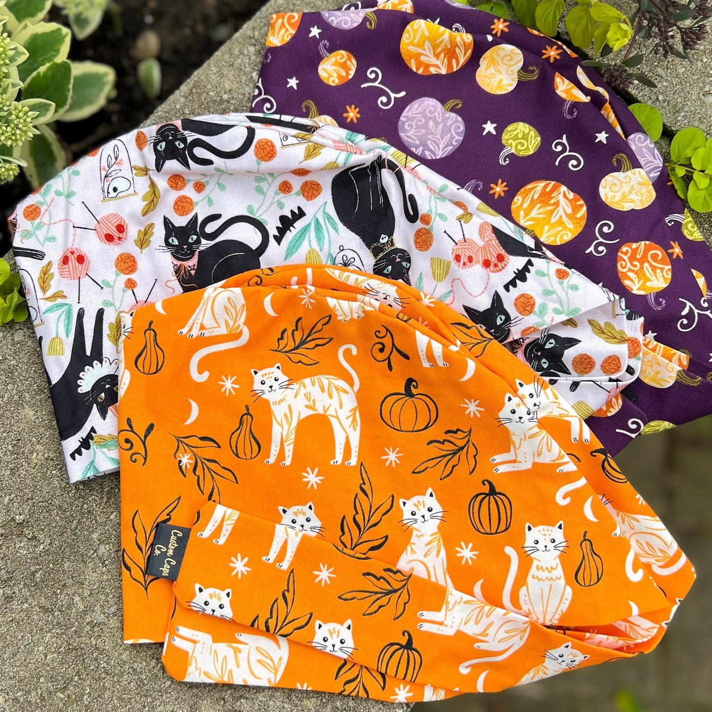 Spooky Cats on Creampuff | Pixie