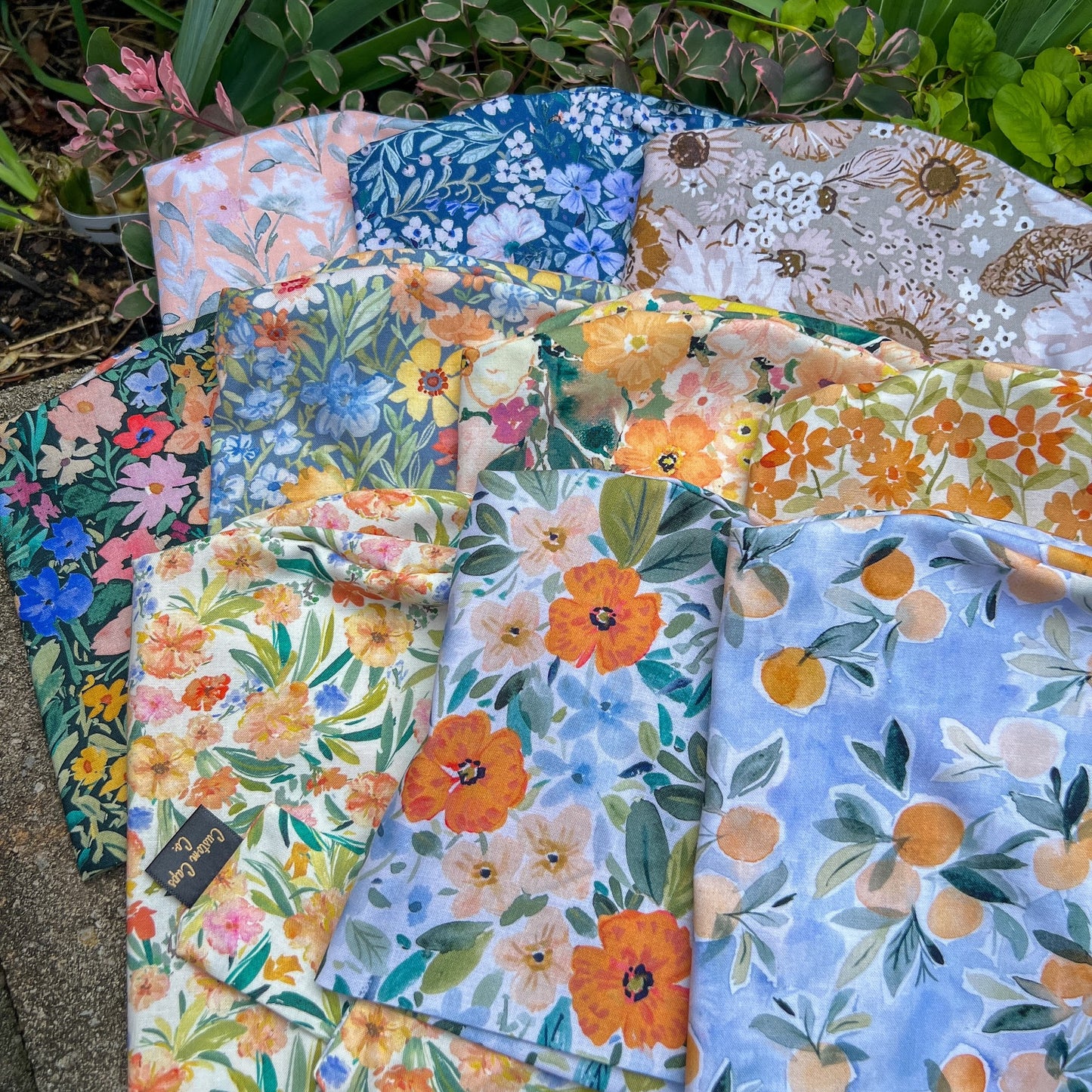 Marigolds on White | Pixie