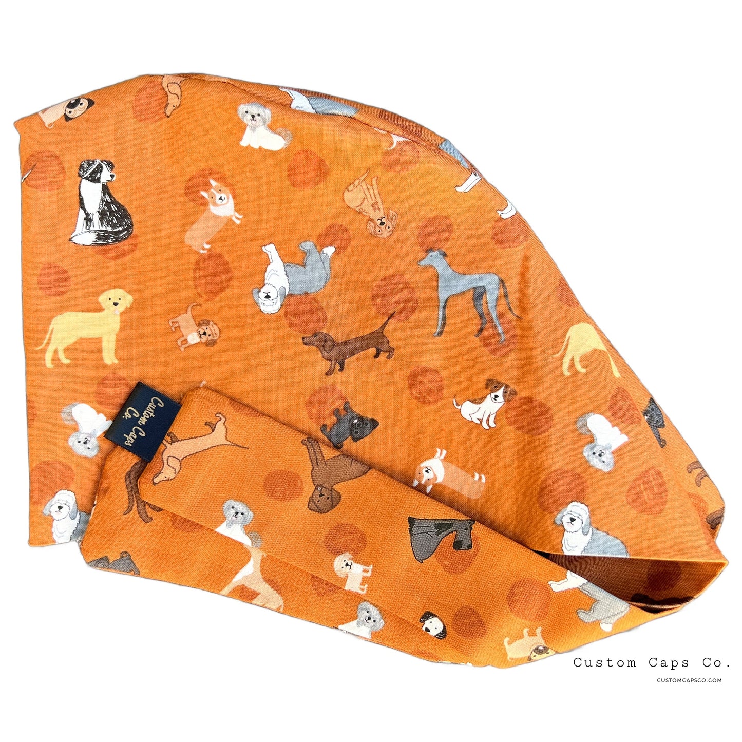 Dog Breeds in Golden | Pixie